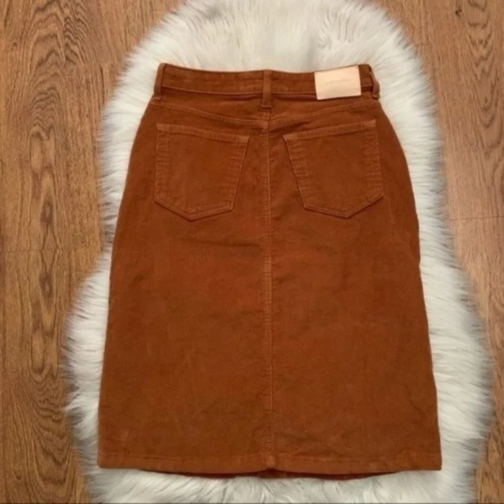 Everlane Skirt